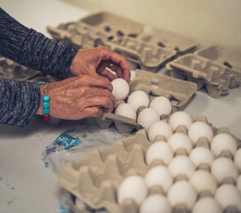 A volunteer packages eggs into cartons for guests.